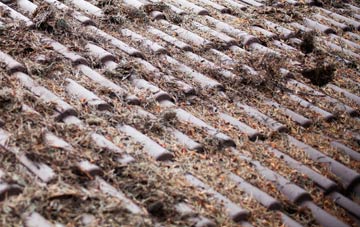 Ropley Soke roof cleaning companies